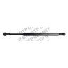 Gas Strut for Door LH & RH