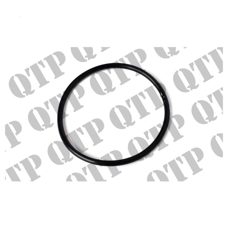O Ring Input Shaft