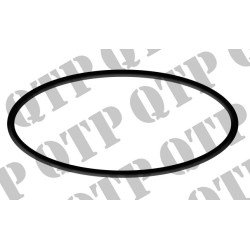 Input Shaft O Ring
