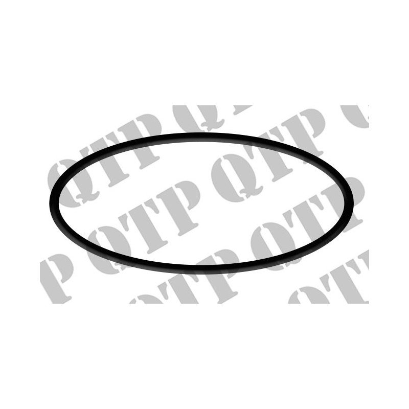 Input Shaft O Ring