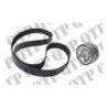 Fan Belt FEAD