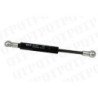 Gas Strut