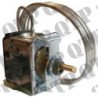 Interrupteur de thermostat