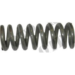 Lot de ressort IPTO (Pack de 6)