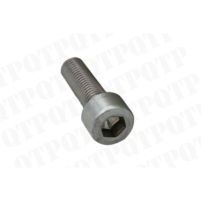 Hex Head Bolt (Pack de 10)