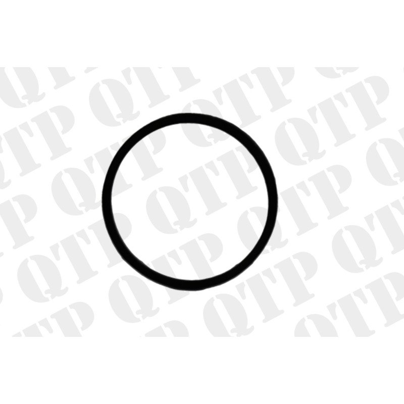 Ring Seal