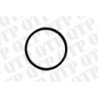 Ring Seal