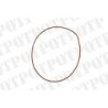 O-Ring (Pack de 5)