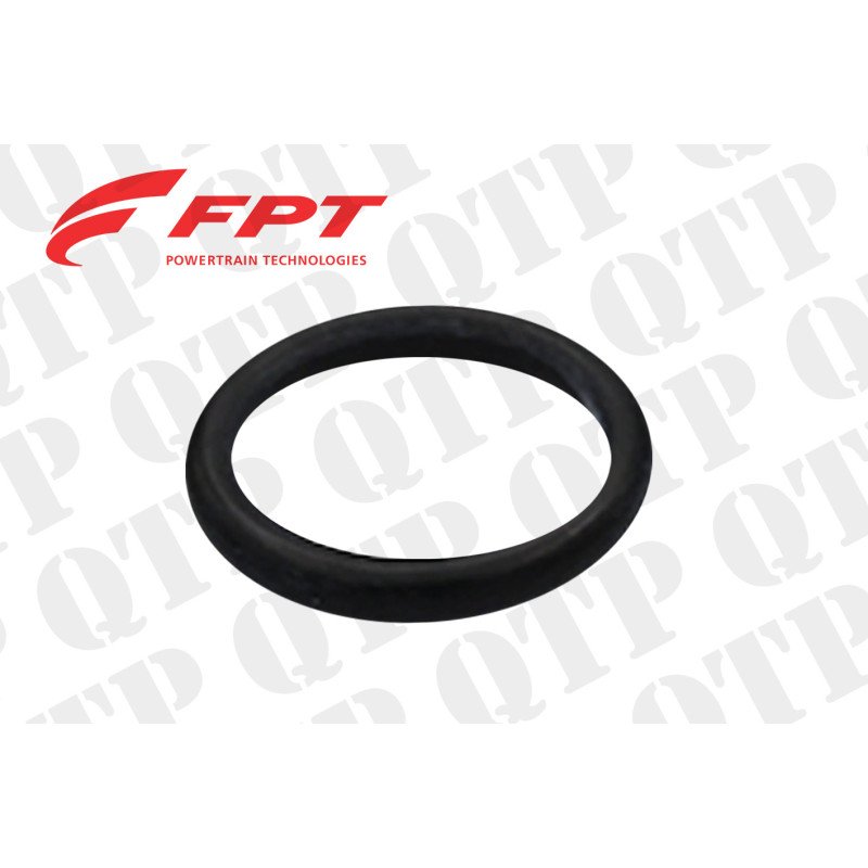 Turbo Pipe O-Ring